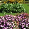 Jardin secret